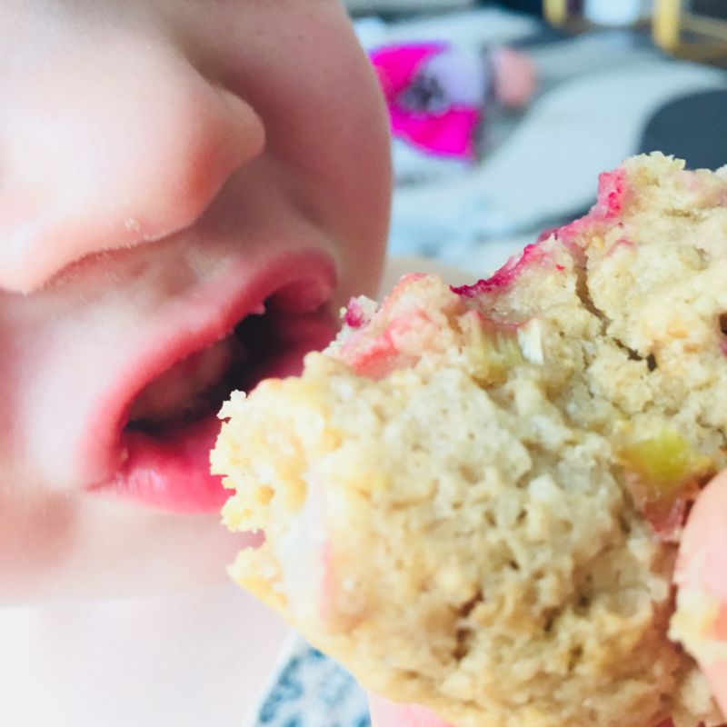 Raspberry Rhubarb Muffins